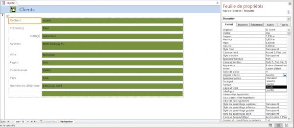 Organiser la mise en page des formulaires dans Microsoft Access