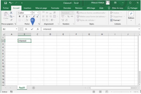 Saisir du texte dans une cellule, Excel